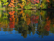autumn lake reflection