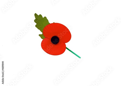 Photo: rememberance days' poppy.symbol of sorrow rememberance days' poppy.symbol of sorrow