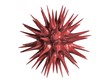 virus rouge fond blanc