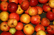 apple wallpaper