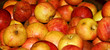 apples