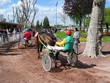cheval de course à enghien