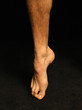 pied 3