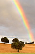 rainbow