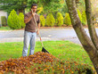 homeowner raking autumn leaves