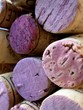 bottle corks