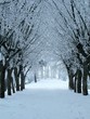 winter alley winter alley