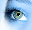 yeux bleu vert