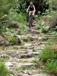 mountainbiken