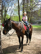 little horse rider