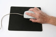 Photo: senior computing - mouse senior computing - mouse