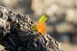 vignes 026