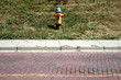 fire hydrant
