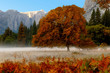 yosemite valley