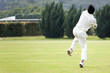 cricket game