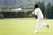 cricket game