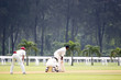 cricket game