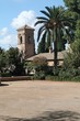 église & palmier