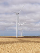 wind farm
