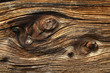 Foto: holz holz