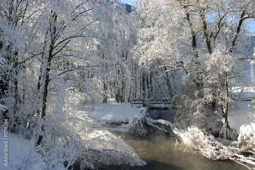 Photo: winter im auwald winter im auwald