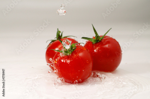 Foto: tomaten tomaten