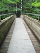 bridge in forest