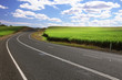 summer road summer road