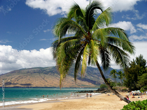 Photo: maui hawaii maui hawaii