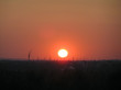 electric sunset