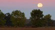 disappearing moon behind the cloud in the morning