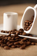 café_1486