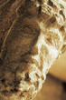 roman bust