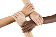 Photo: diversity series diversity series