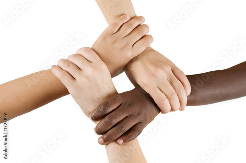 Photo: diversity series diversity series
