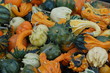 gourds gourds