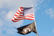 flag flag
