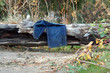 jeans on log jeans on log