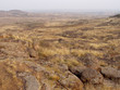 the steppe