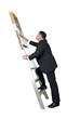 Photo: corporate ladder corporate ladder