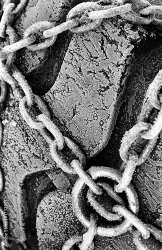 Photo: frozen chain frozen chain