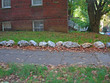 edging rocks edging rocks