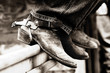 row of rodeo boots & spurs row of rodeo boots & spurs