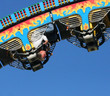 thrill seeker