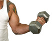 Photo: muscle muscle