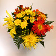 flower arrangement on white background
