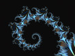 shell spiral