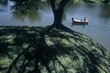 sweet serenity