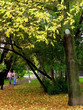 park