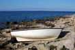 white boat